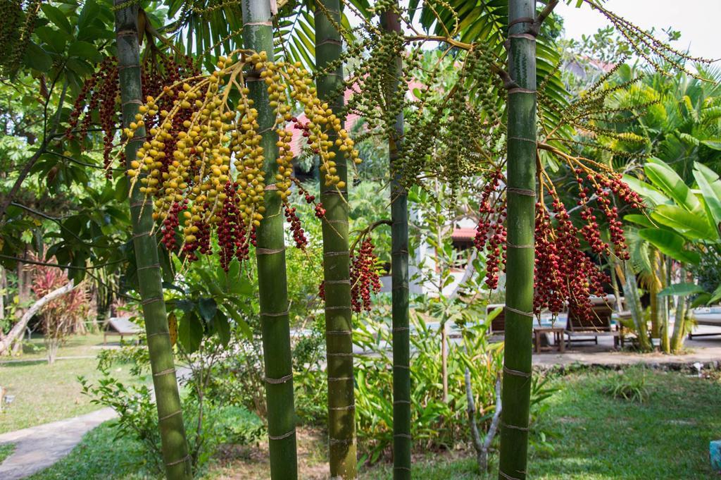 Le Flamboyant Resort Kep Exterior photo