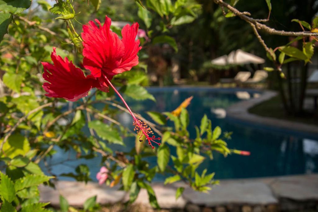 Le Flamboyant Resort Kep Exterior photo